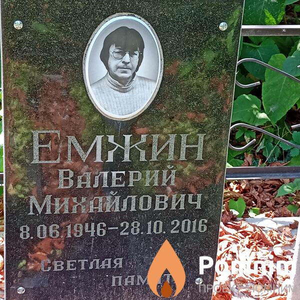 Емжин Валерий Михайлович