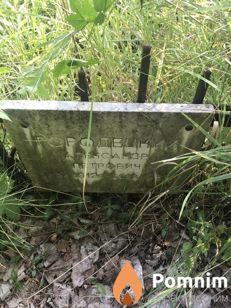 Городецкий Александр Петрович