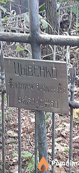 Цыбенка Валентина Васильевна