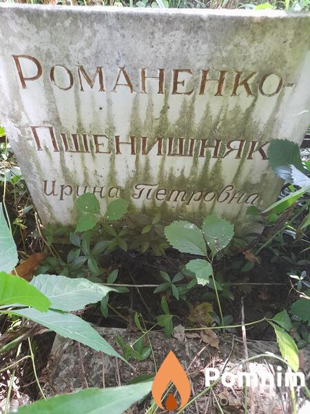 Романенкопшенишняк Ирина Петровна