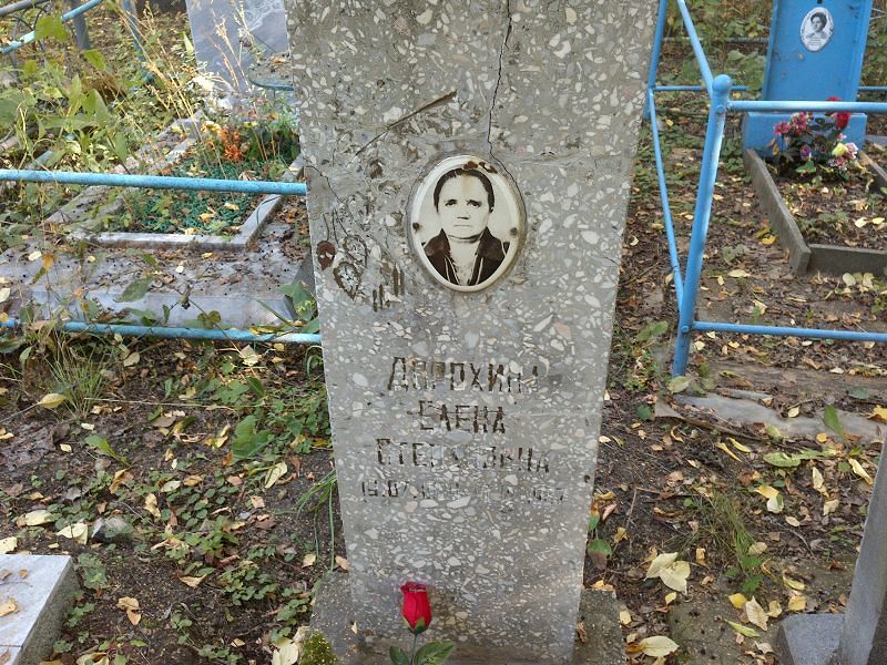 Дорохина