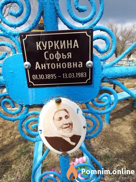 Куркина Софья Антоновна