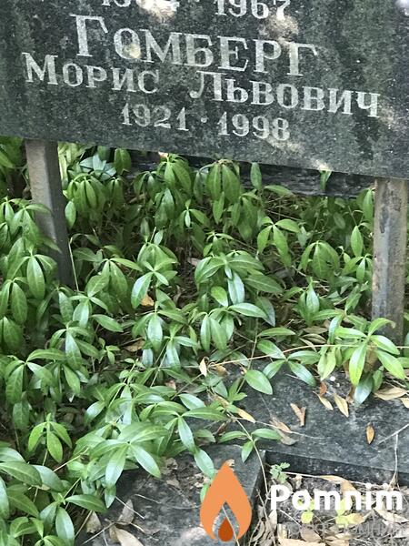 Гомберг Морис Львович