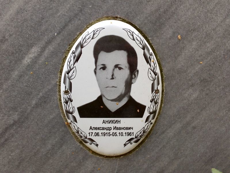 Аникин