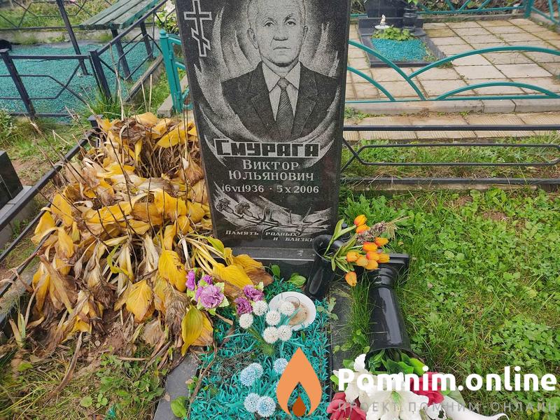 Саурага Виктор Юльянович