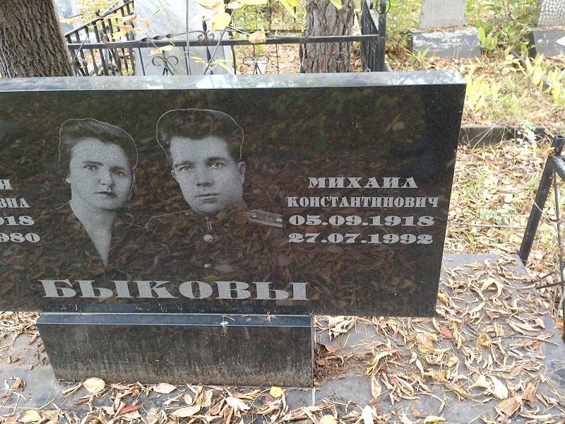 Быков