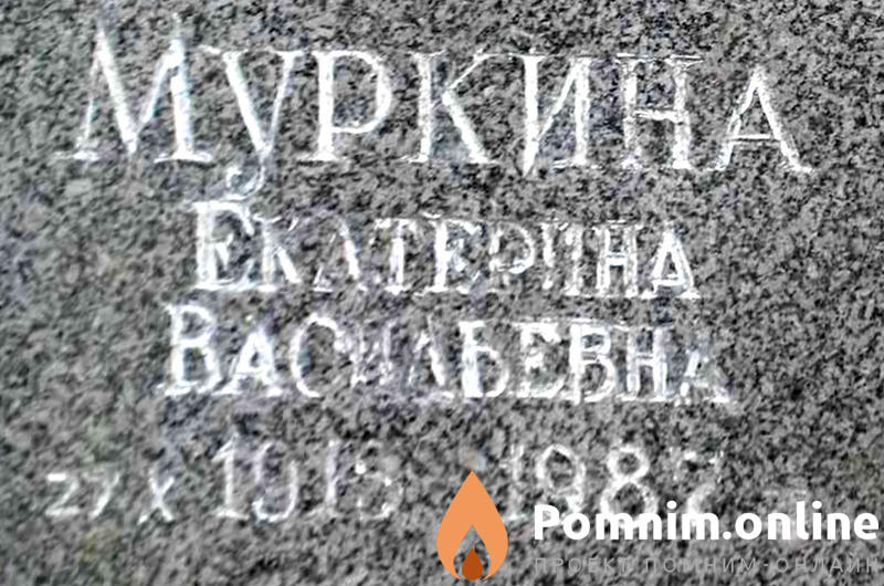 Муркина Екатерина Васильевна