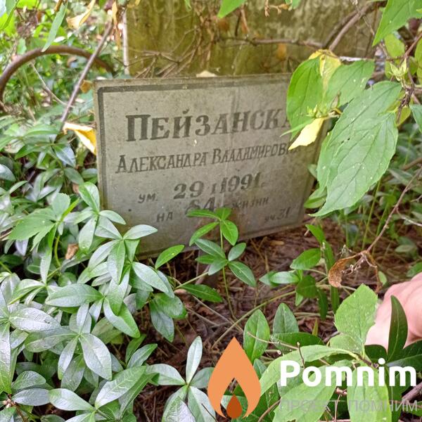 Пейзанская Александра Владимировна