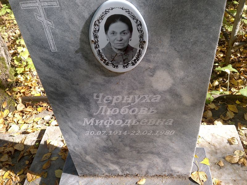 Чернуха
