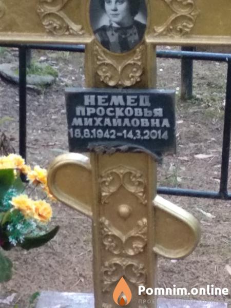 Немец Анатолий Степанович
