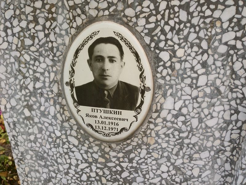 Птушкин