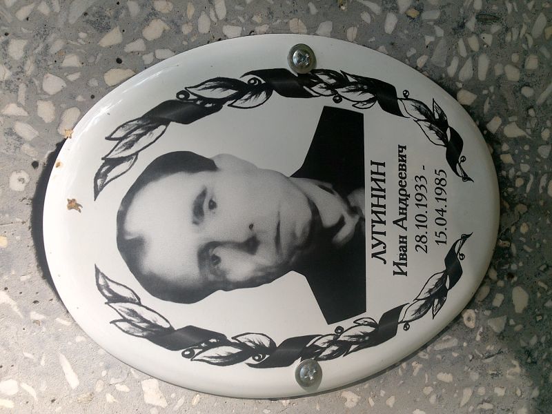 Лугинин