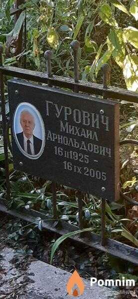 Гурович Михаил Арнольдович