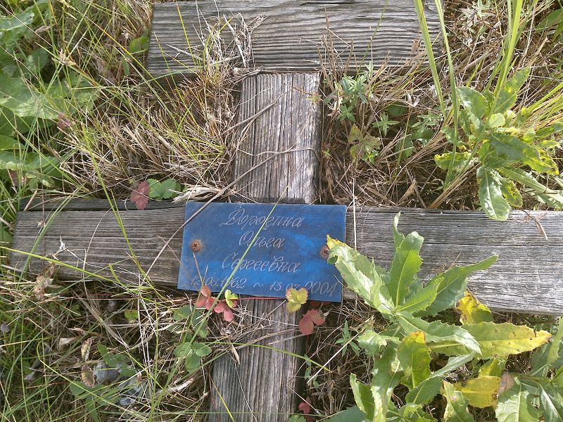 Дорогина