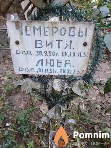 Чемеров Витя