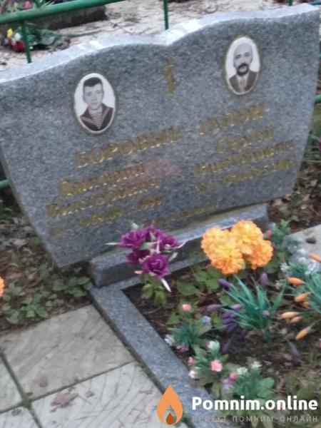 Боровойгапон Дмитрий Викторович