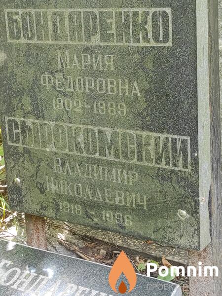 Сырокомский Владимир Николаевич