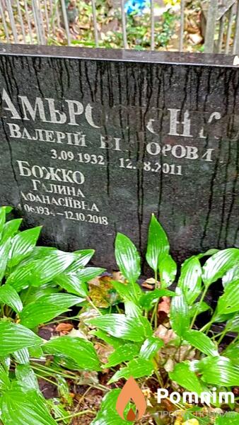 Амбросиенко Валерий Викторович