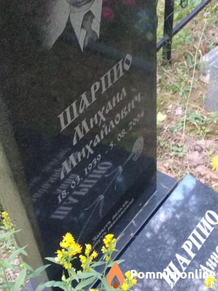 Шарпио Анна Владимировна