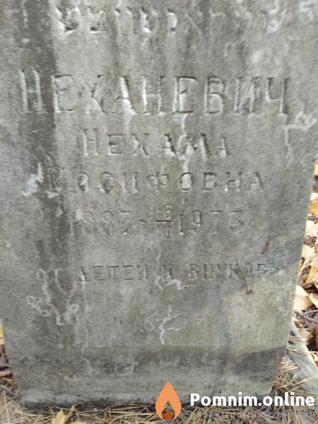 Неханевич Нехама Иосифовна