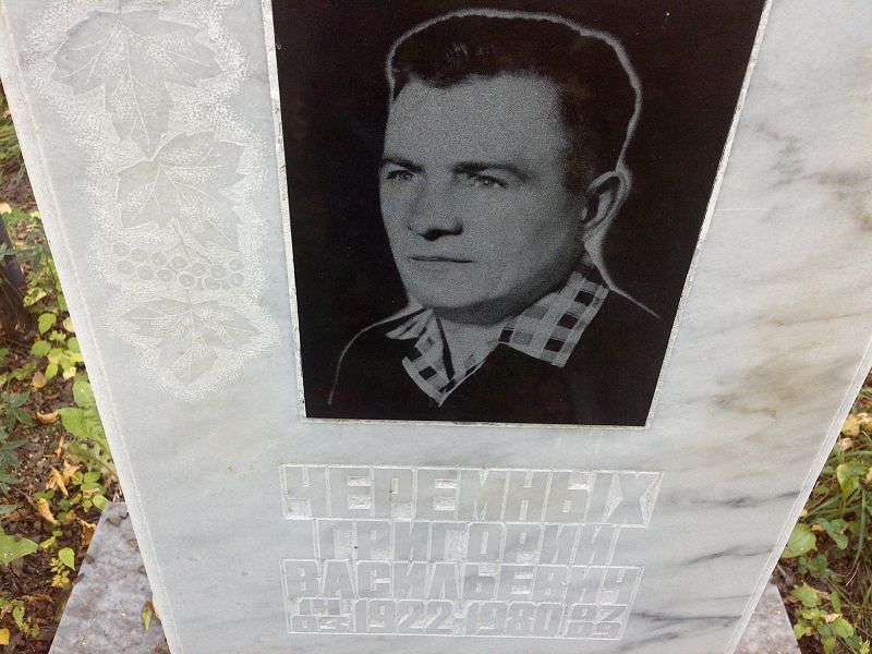 Черемных