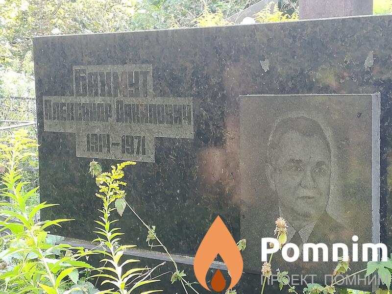Бахмут Александр Данилович