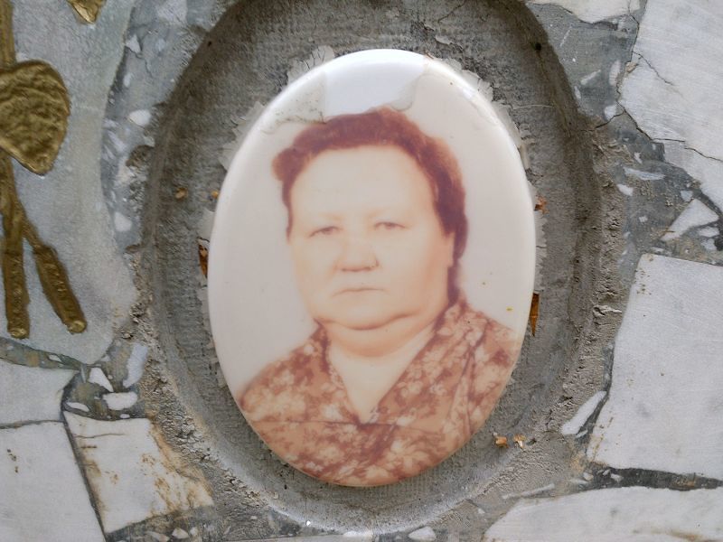 Шелковкина Александра Михайловна