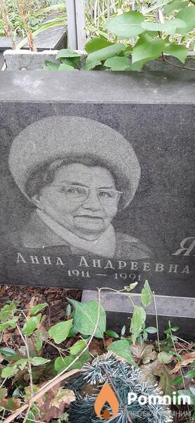 Явкина Анна Андреевна