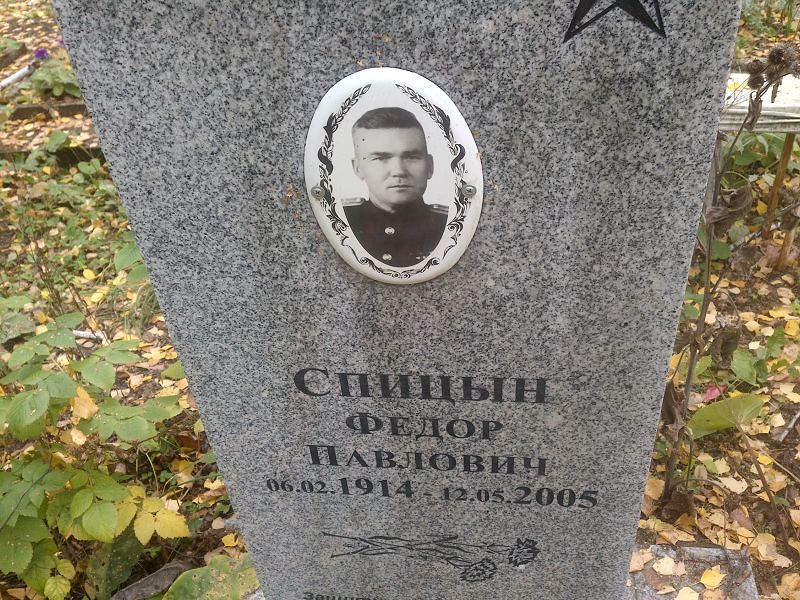 Спицын