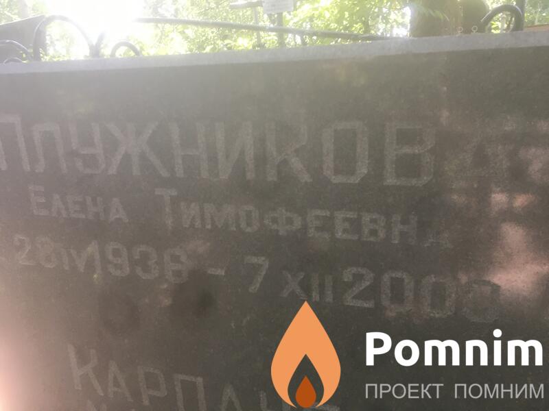 Плужникова Елена Тимофеевна