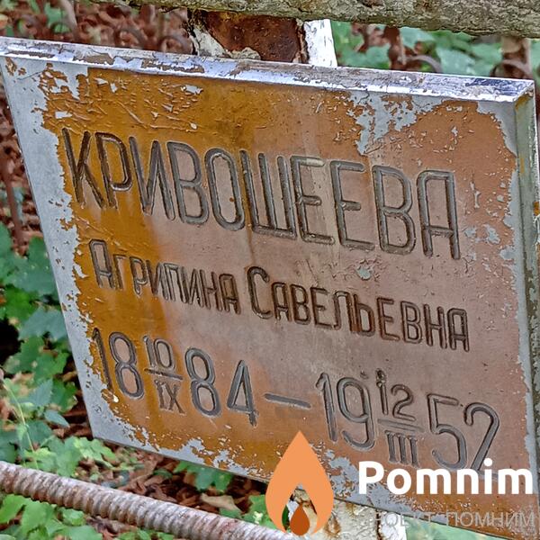 Кривошеева Агрипина Савельевна