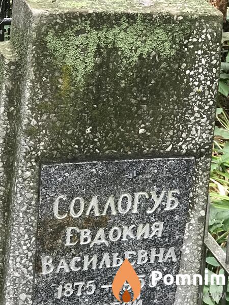 Соллогуб Евдокия Васильевна