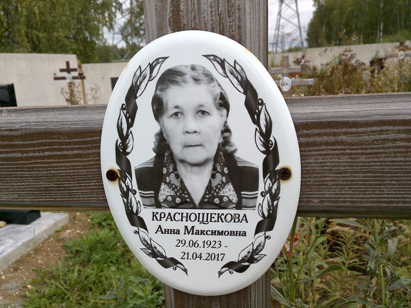 Краснощекова