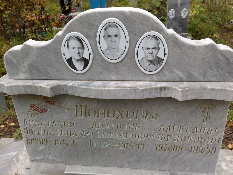 Шонохов