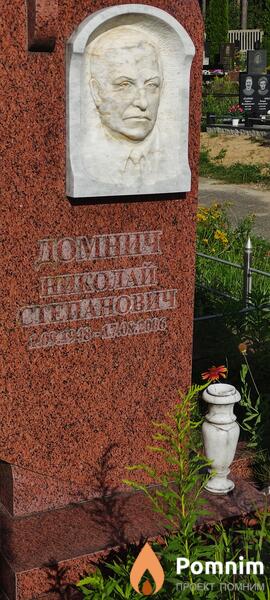 Домнич Николай Степанович