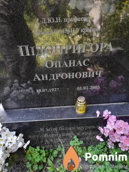 Пидопригора Опанас Андронович