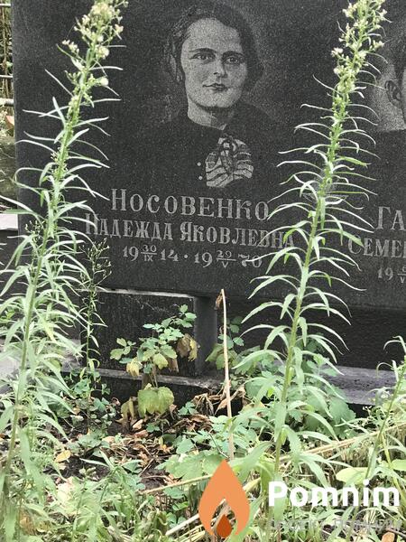 Носовенко Надежда Яковлена