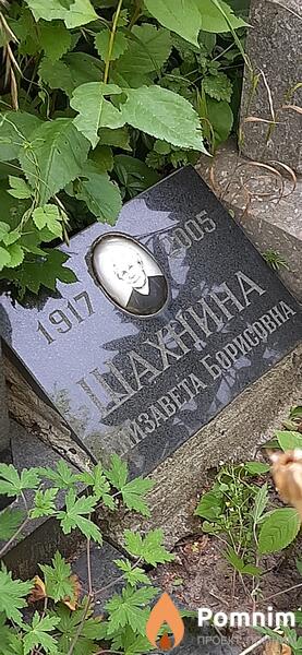 Шахнина Елизавета Борисовна