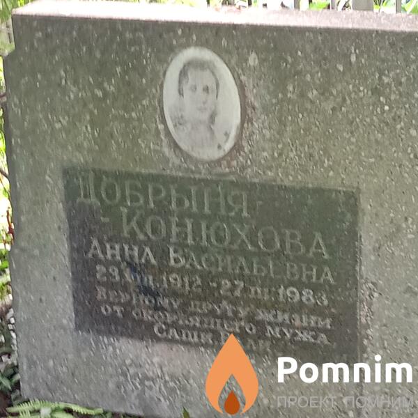 Добрыняконюхова Анна Васильевна