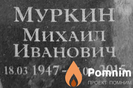 Муркин Михаил Иванович