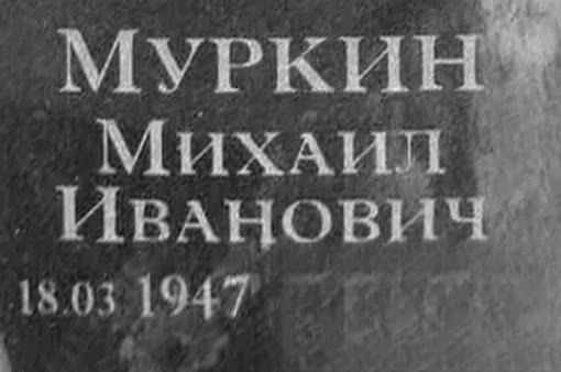 Муркин