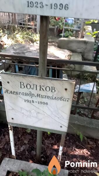 Волков Александр Михайлович