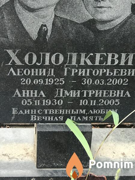 Холодкевич Анна Дмитриевна