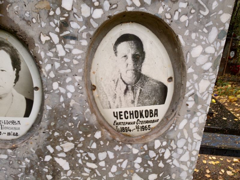Чеснокова