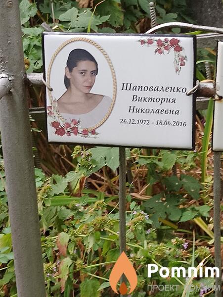 Шаповаленко Виктория Николаевна