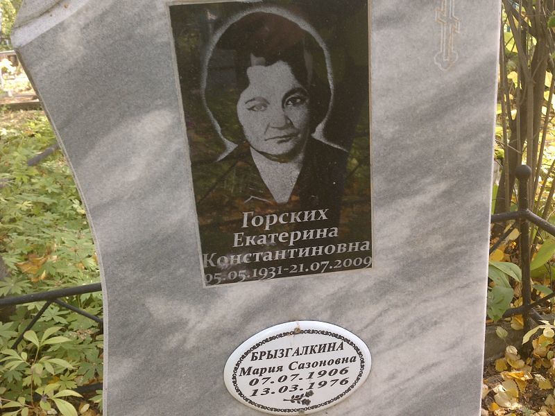 Брызгалкина