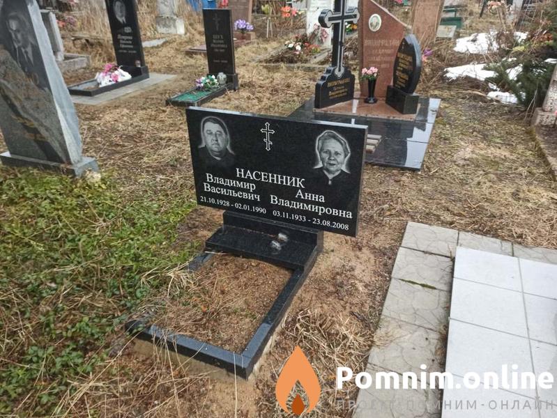 Насенник Анна Владимировна