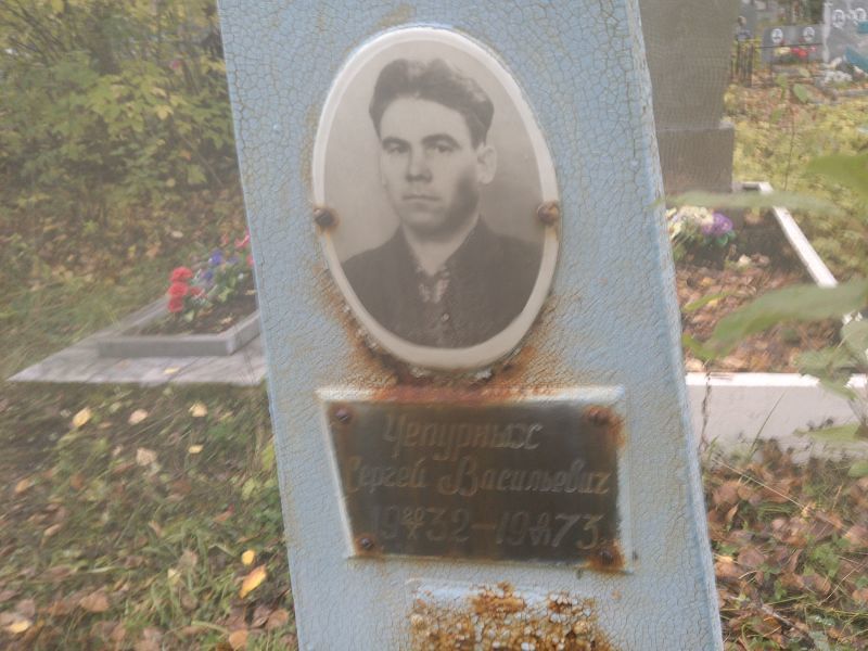 Чепурных