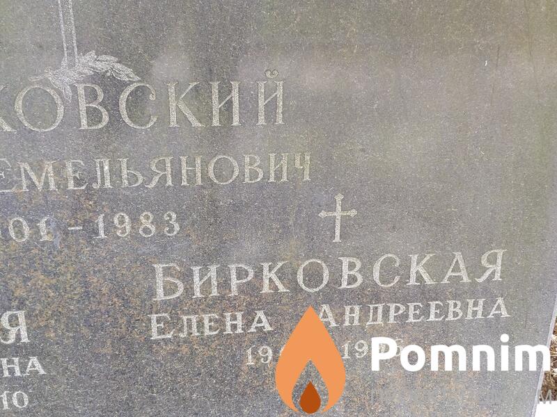 Бирковская Елена Андреевна