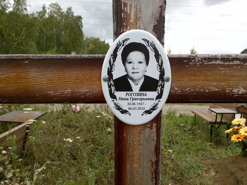 Рогозина